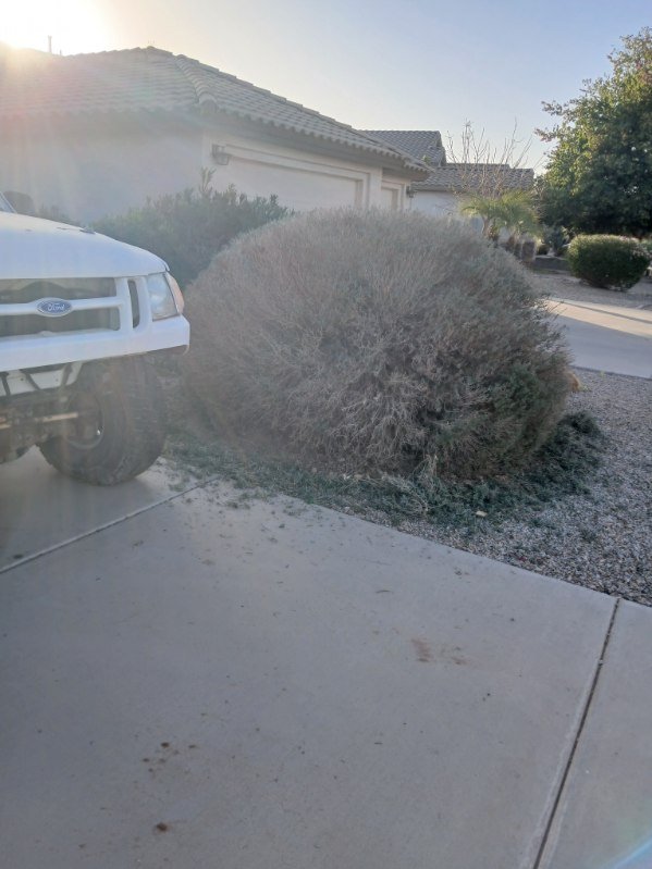 16fea42d539044cd8942616b2699649f