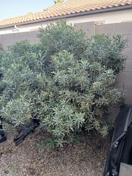 6543b40dd8784eae89ba2ee0e9849d63