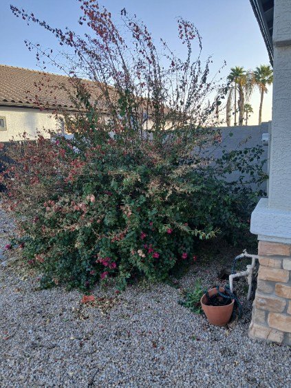 817acc36acf04fc49d484fe9644f060b