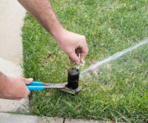 Sprinkler Repair or Installation